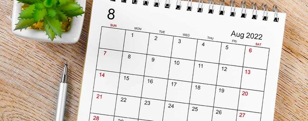 ein Tischkalender mit Kugelschreiber und einer kleinen Pflanze auf einem Holzuntergrund