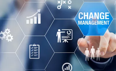 Change Management in Organisation und Unternehmenskonzept mit Berater