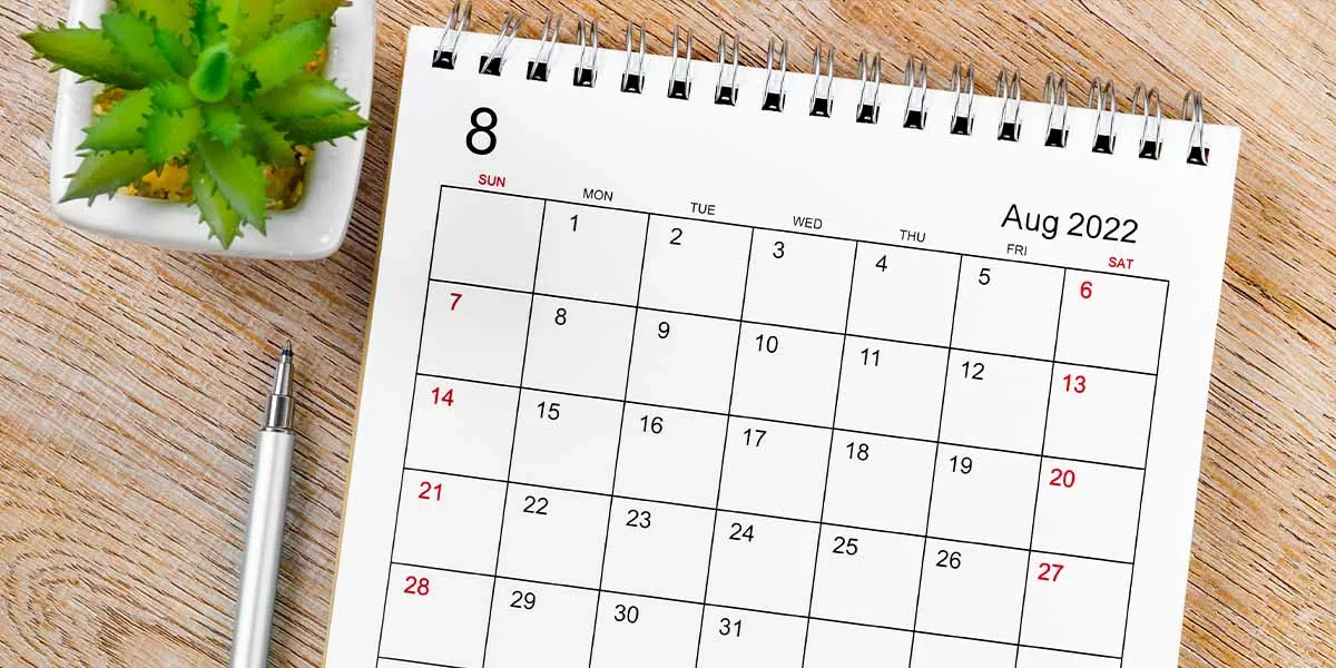 ein Tischkalender mit Kugelschreiber und einer kleinen Pflanze auf einem Holzuntergrund