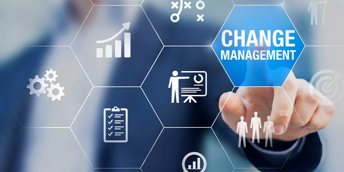 Change Management in Organisation und Unternehmenskonzept mit Berater