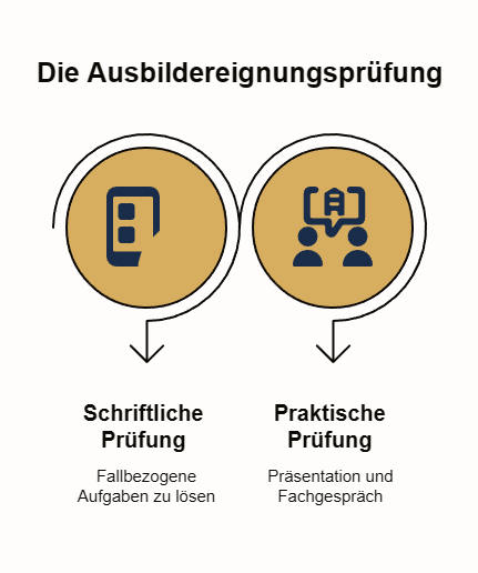 grafische Darstellung der Ausbildereignungsprüfung